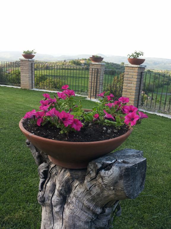 B&B La Piaggia Montemerano Quarto foto